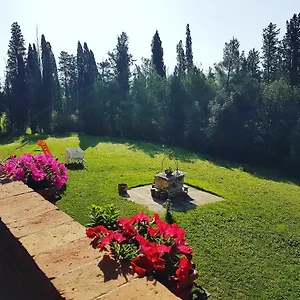 Niccoli Bed & Breakfast